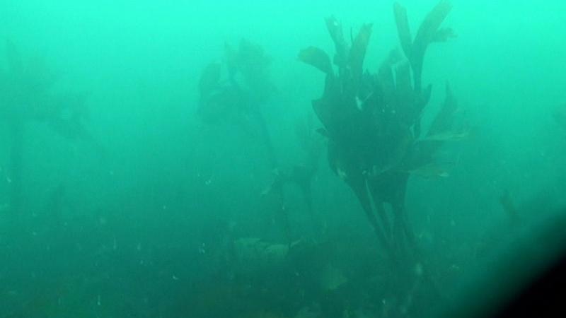 2009-09-23 11-53-05 01L.jpg
